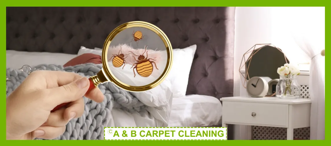 Professional rug cleaning in action